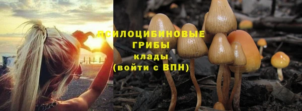 ГАЛЛЮЦИНОГЕННЫЕ ГРИБЫ Зеленодольск