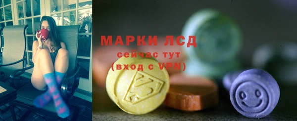 дмт Инсар